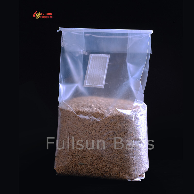 Kantong Pertumbuhan Jamur