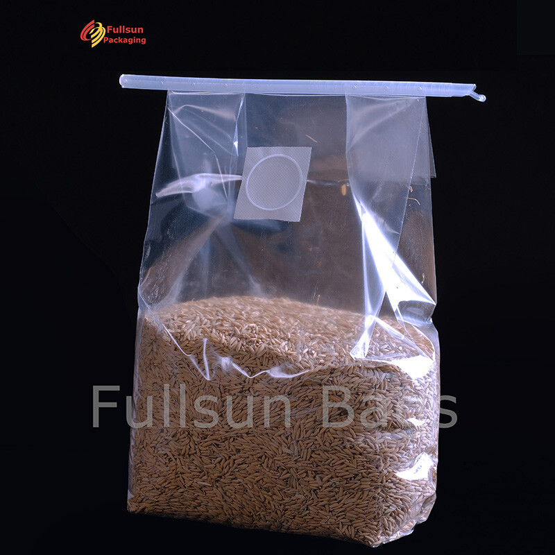 Kantong Pertumbuhan Jamur