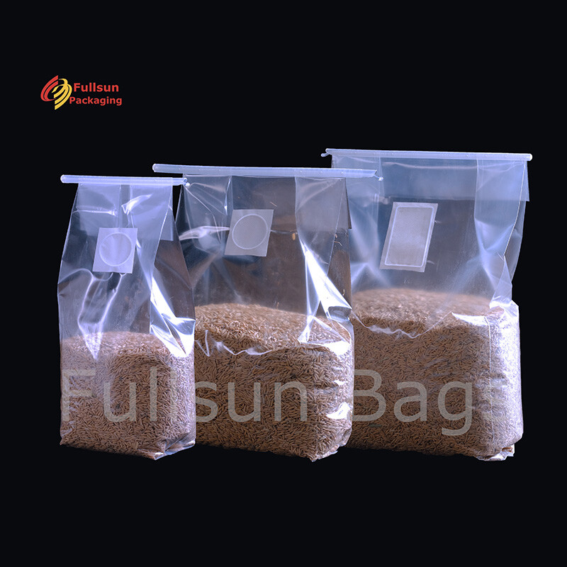 Kantong Pertumbuhan Jamur