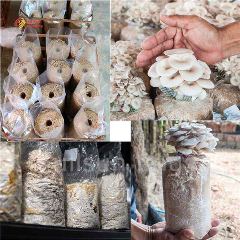 Kantong Pertumbuhan Jamur