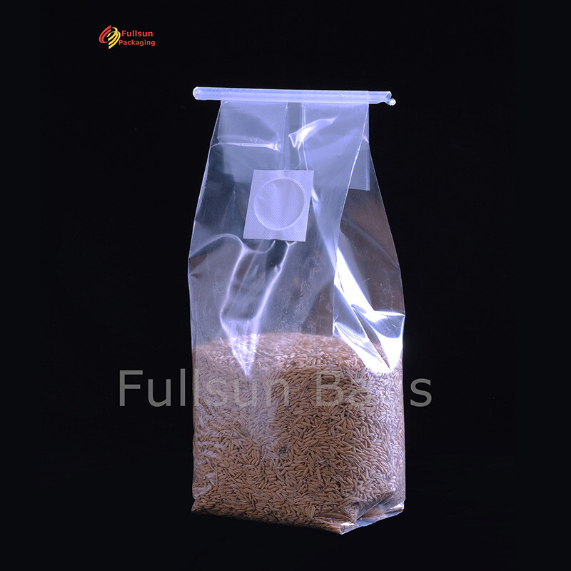 Kantong Pertumbuhan Jamur