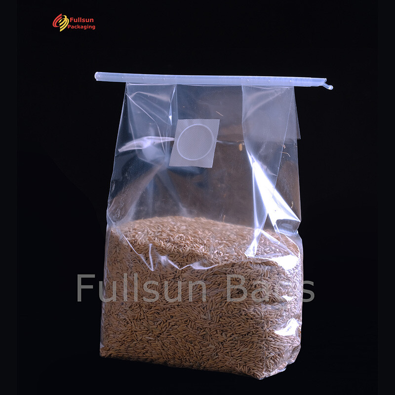 Kantong Pertumbuhan Jamur