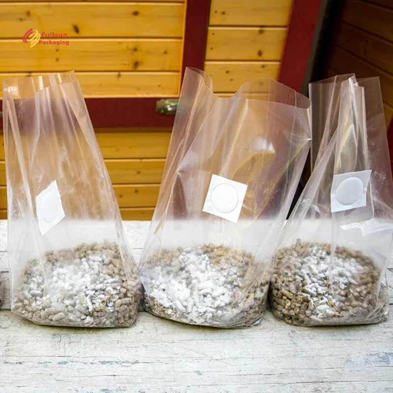 Kantong Pertumbuhan Jamur