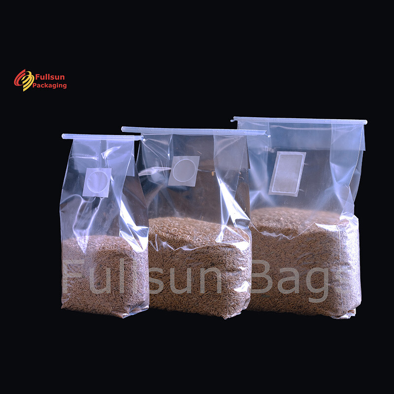 Kantong Pertumbuhan Jamur