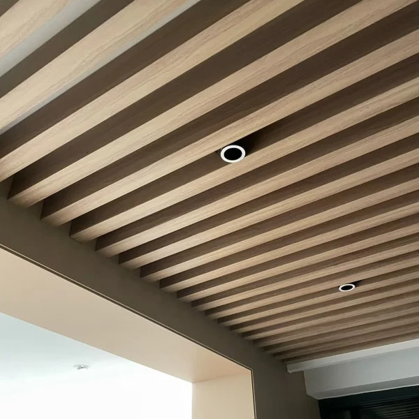 Baffle Ceiling