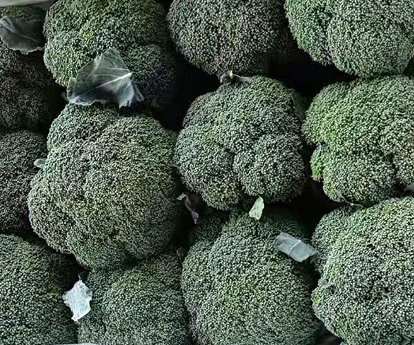Brassica oleracea L.var. italica Plenck