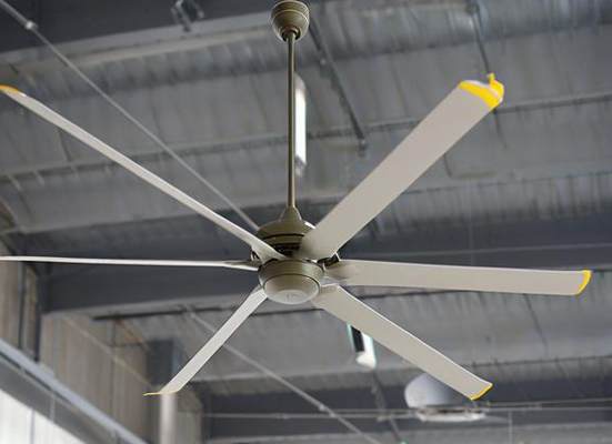 Large Ceiling Fan