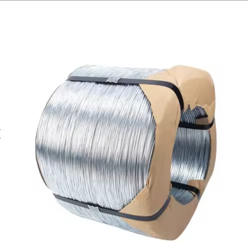 Stainless Steel Wire