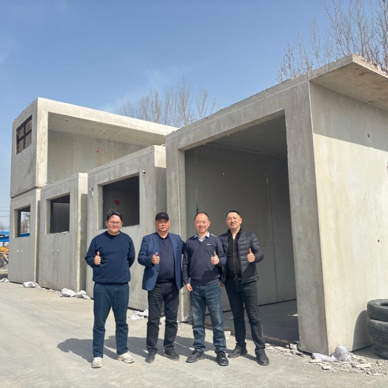 Modern Style Cement House Mold Precast Concrete Home Mould Construction Material Making Machinery