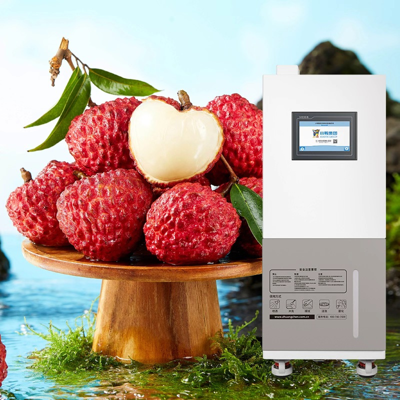 Rahasia baru untuk menjaga kesegaran buah leci: Pengawalan asam hipoklorit Bebek Kecil