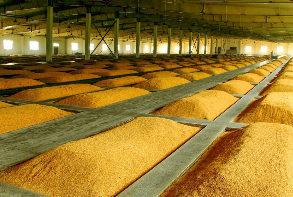 Penyemprotan irigasi untuk tanaman rumah kaca meningkatkan produksi pertanian dan memfasilitasi penerapan teknologi ramah lingkungan dalam berbagai skenario.