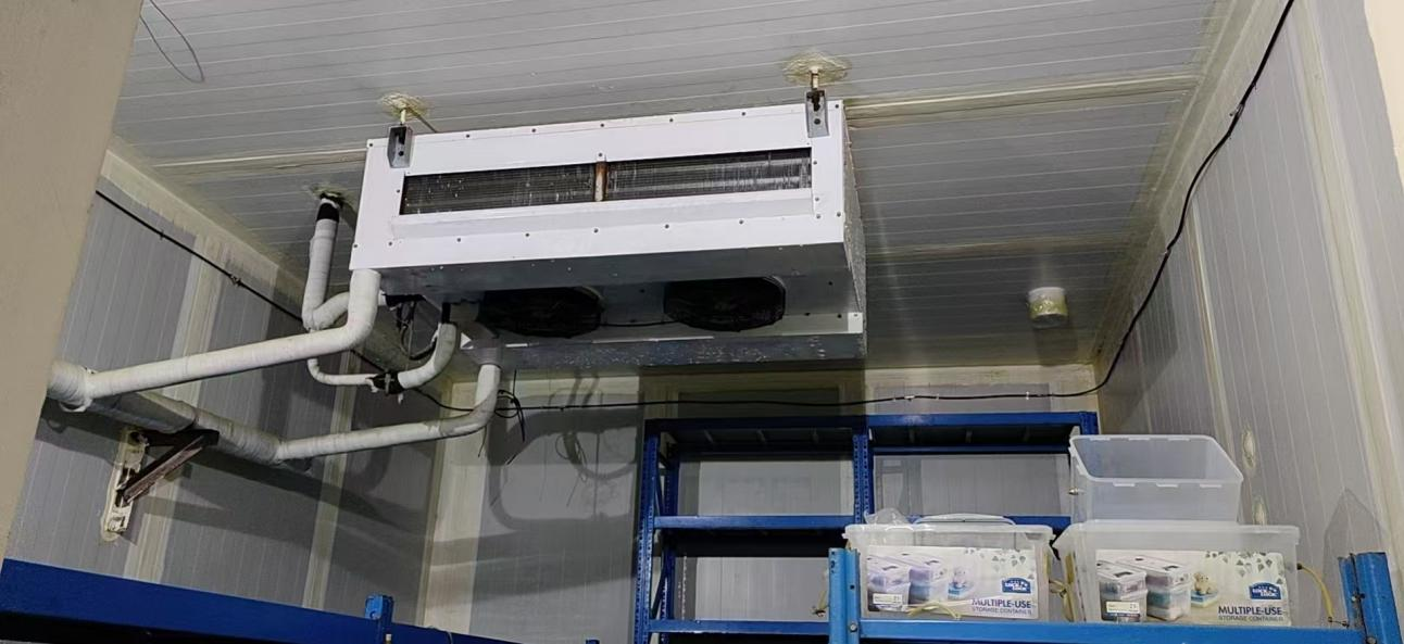 Menyediakan solusi terintegrasi untuk sebuah lembaga penelitian di Zhangqiu, yang menggabungkan desinfeksi atomisasi, pelestarian presisi, dan renovasi pipa. Menyediakan solusi terintegrasi untuk sebuah lembaga penelitian di Zhangqiu, yang menggabungkan desinfeksi atomisasi, pelestarian presisi, dan renovasi pipa.