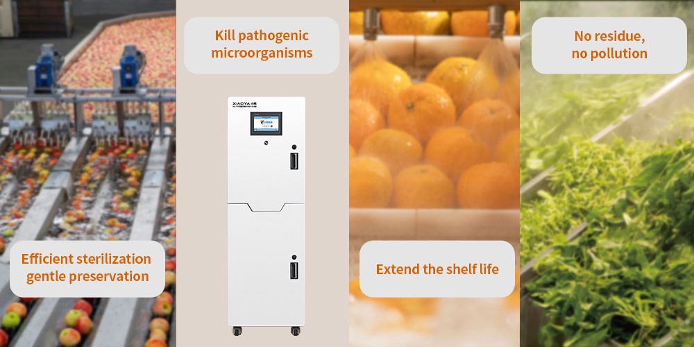 Perbedaan Antara Generator Asam Hipoklorit dan Generator Ozon untuk Pengawetan Buah