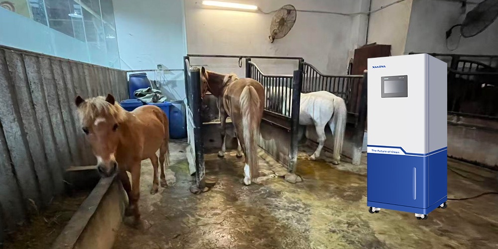Titik buta paling umum dalam rencana disinfeksi peternakan