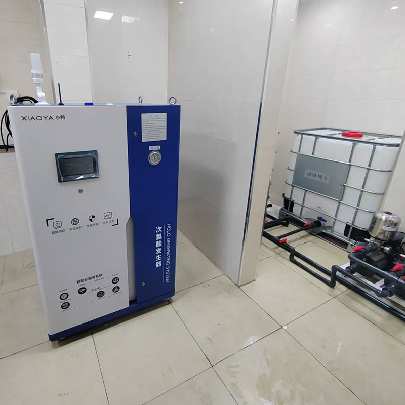 Generator Asam Hipoklorit Khusus untuk Transportasi Rantai Dingin Kecambah Akar Teratai