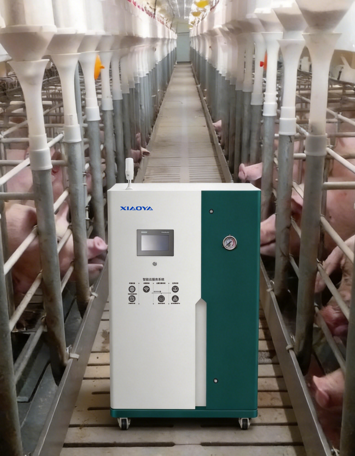Generator Asam Hipoklorit Xiaoya: Solusi Disinfeksi Komprehensif untuk Peternakan Ternak dan Unggas — Keamanan Kelas Medis Memberdayakan Peternakan Modern Bebas Antibiotik Generator Asam Hipoklorit Xiaoya: Solusi Disinfeksi Komprehensif untuk Peternakan Ternak dan Unggas — Keamanan Kelas Medis Memberdayakan Peternakan Modern Bebas Antibiotik