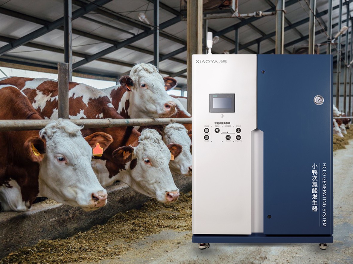 Memecahkan Dilema Disinfeksi dalam Peternakan! Generator Asam Hipoklorit Membantu Peternakan Hijau Mengurangi Biaya dan Meningkatkan Efisiensi Memecahkan Dilema Disinfeksi dalam Peternakan! Generator Asam Hipoklorit Membantu Peternakan Hijau Mengurangi Biaya dan Meningkatkan Efisiensi