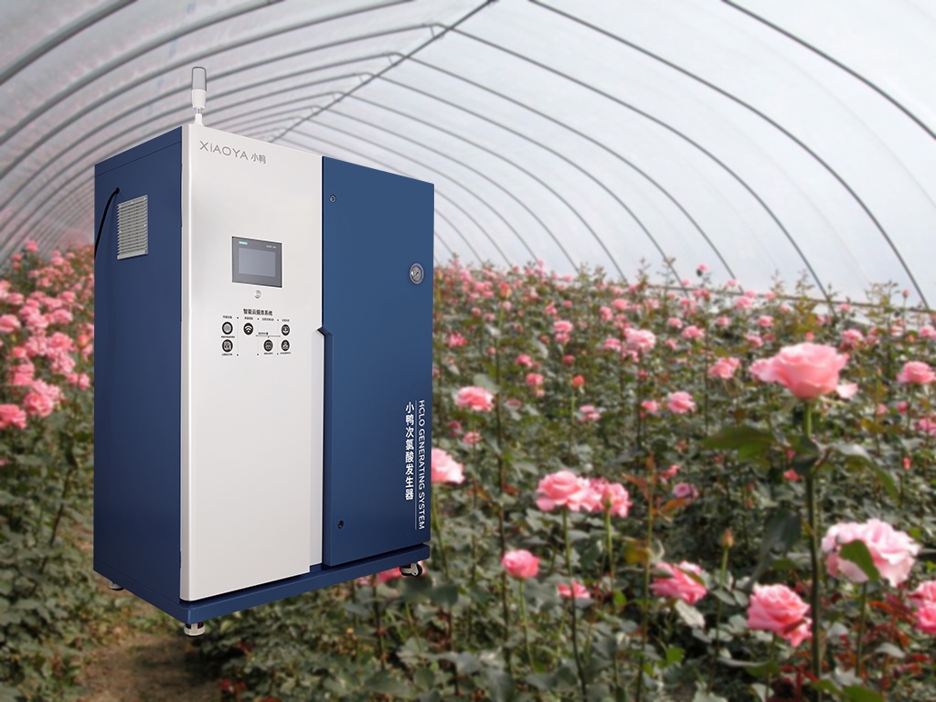 Generator Asam Hipoklorit dalam Budidaya Mawar