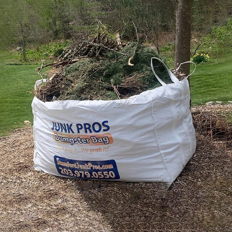 Skip Bag dumpster bag bin bag for junk removal