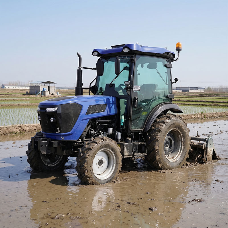 Paddy field work