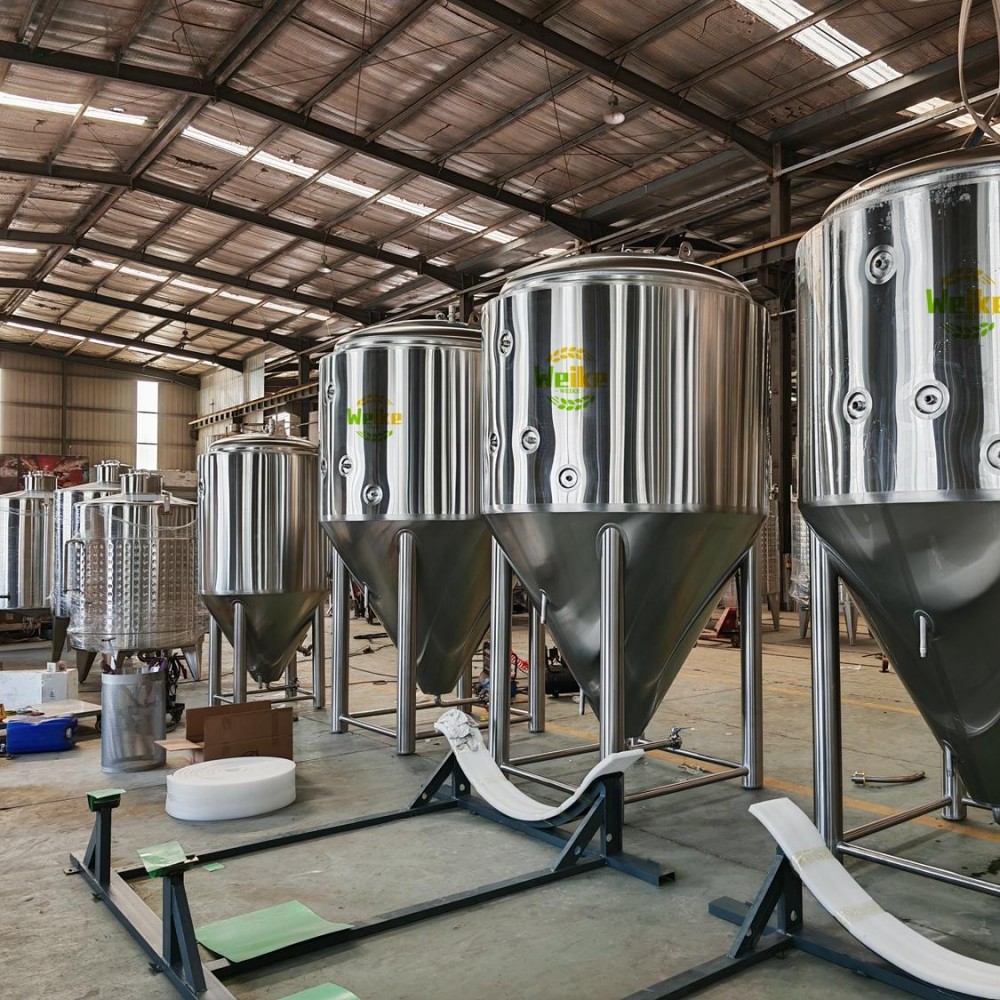 fermentor bir microbrewery