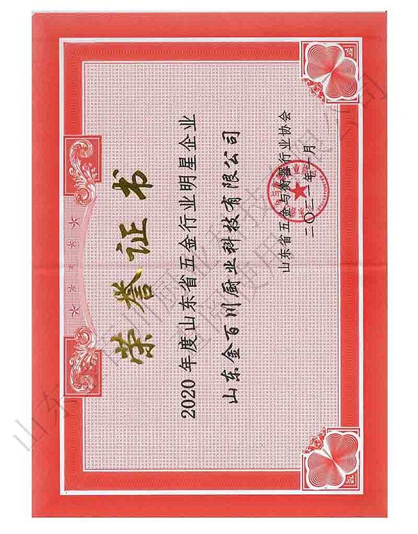 Shandong Province Hardware Industry Star Enterprise Honorary Certificate