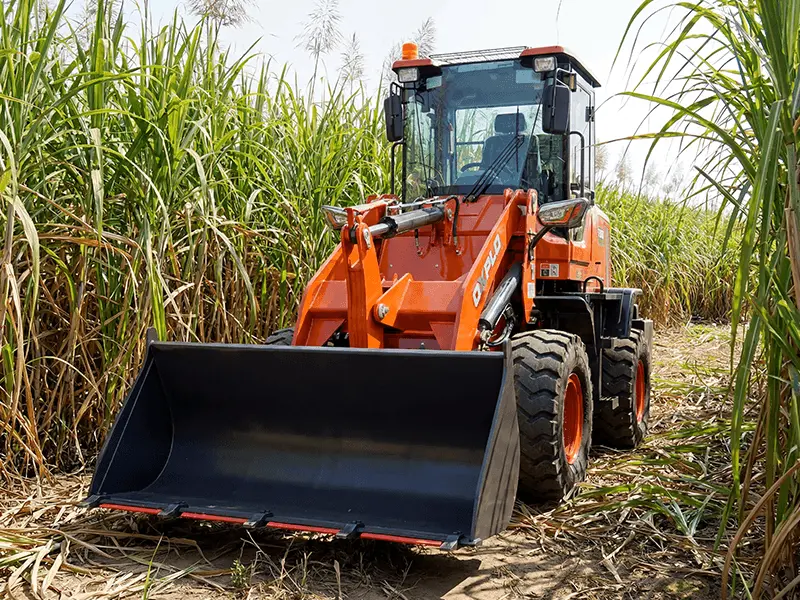 Paano Pinapahusay ng mga Wheel Loader ang Trabaho sa Bukid ng Tubo